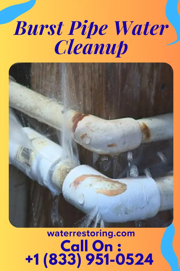 Burst Pipe Water Cleanup in South Euclid, OH