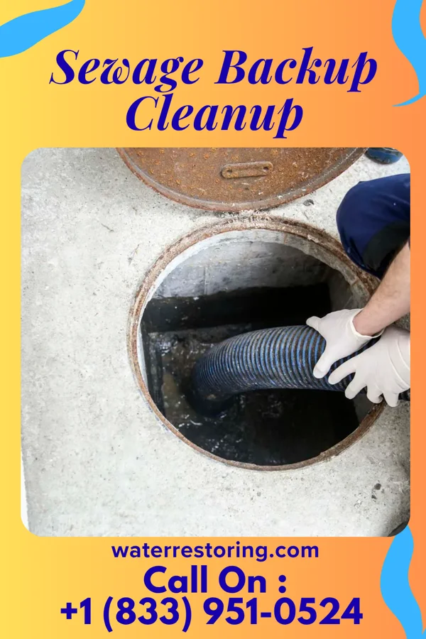 Sewage Backup Cleanup in South Euclid, OH