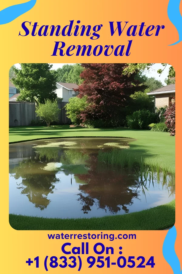 Standing Water Removal in South Euclid, OH